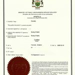 加拿大籍人士上海市房产过户委托书海牙认证