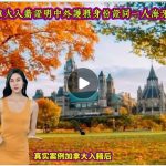 加拿大入籍证明中外护照身份证同1人海牙认证