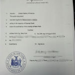 美国圣地亚哥办理中国社保医保委托海牙认证