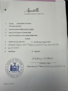 美国圣地亚哥办理中国社保医保委托海牙认证