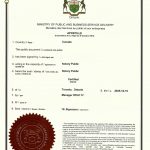 上海浦东房产产权划分与转让委托书海牙认证