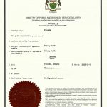 加拿大籍上海华人我是我同一人身份海牙认证