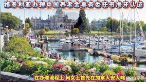 维多利亚办理中国养老金事务委托书海牙认