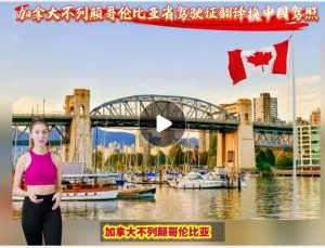 加拿大不列颠哥伦比亚驾驶证翻译换中国驾照