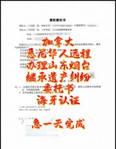 加国悉尼华人远程办理烟台继承委托海牙认证