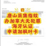 唐山采集指纹办加拿大无犯罪海牙申请枫叶卡