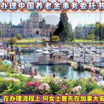 维多利亚办理中国养老金事务委托书海牙认