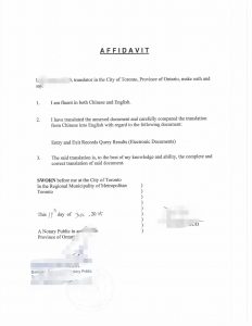 中国国家移民管理局出入境记录查询结果翻译