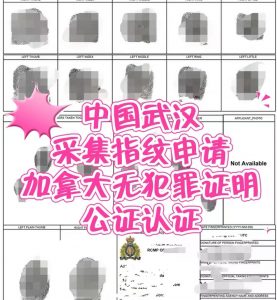 武汉采集指纹申请加拿大无罪证明办理加移民