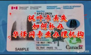 枫叶卡丢失不用慌华译网协助您补卡全记录