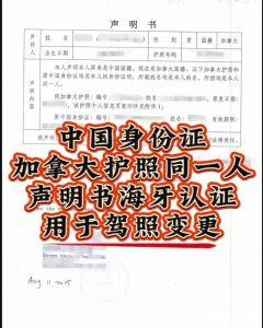 加籍护照中国身份证同一人海牙认证驾照变更
