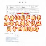 单身证明声明书加拿大海牙认证用于回国结婚