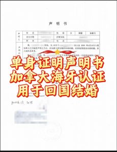 单身证明声明书加拿大海牙认证用于回国结婚