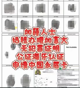 加籍人士申请中国永居远程办加拿大无罪证明