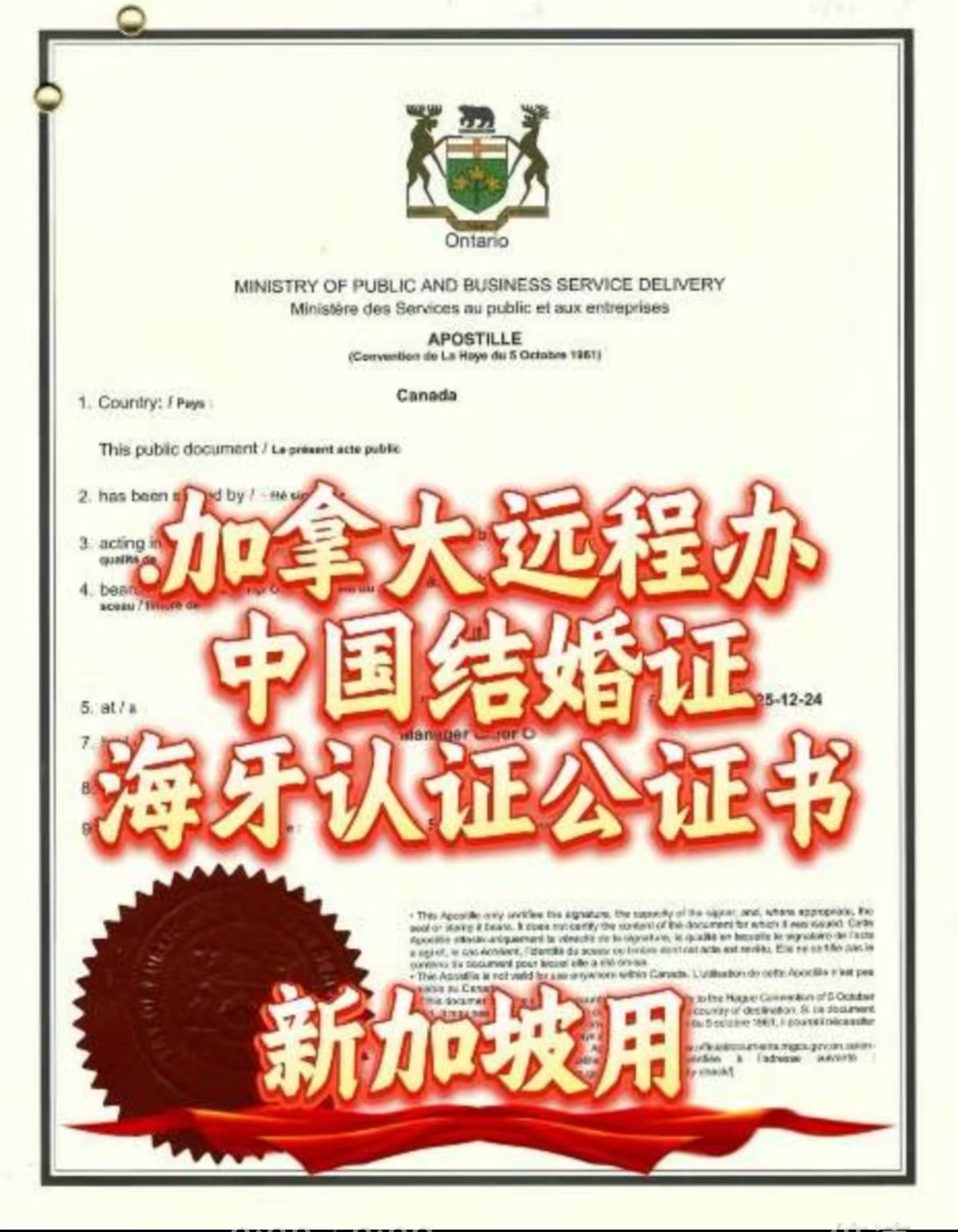 加拿大远程办中国结婚证海牙认证公证新加坡用