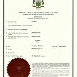 同意太太处置国内成都房产声明国际海牙认证