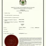 婚姻状态移民国外声明海牙认证国内房产事务