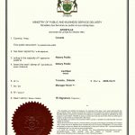 离异未再婚单身状态海牙认证回国再结婚登记