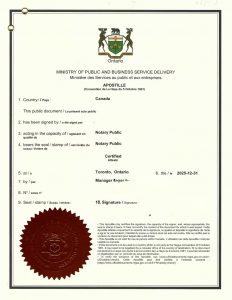 离异未再婚单身状态海牙认证回国再结婚登记