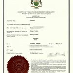 海外一家华人上海房产份额约定委托海牙认证