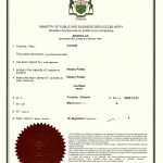 外籍同一人海牙认证国内不动产身份信息核实