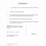 中国海关出入境记录中译英翻译公证移民材料