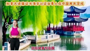 加拿大退籍证书海牙认证当事人在中国2天完成