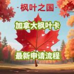 加拿大枫叶卡最新申请流程及专业代办服务详解