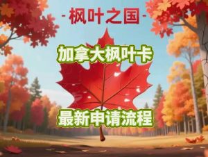 加拿大枫叶卡最新申请流程及专业代办服务详解