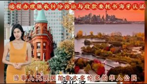 远程办理继承纠纷诉讼与收款委托书海牙认证