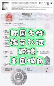 中韩政府官方文件海牙认证跨境使用指南
