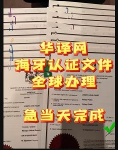 华译网海牙认证翻译公证服务全球办理当天办