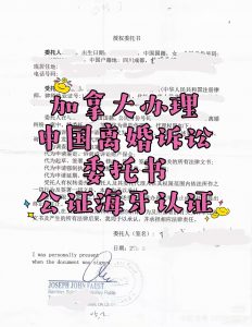 加拿大办理中国离婚诉讼委托书公证海牙认证