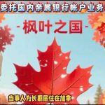 海外华人委托国内亲属银行账户业务海牙认证