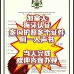 加拿大海牙认证多国护照多个证件同一人声明