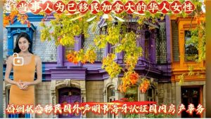 婚姻状态移民国外声明海牙认证国内房产事务