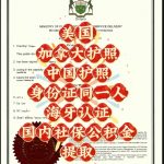 美国加拿大中国护照身份同一人声明海牙认证
