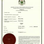 外国法院离婚证海牙认证用于到中国再婚登记