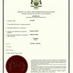 温哥华外籍北京卖房同一人委托护照海牙认证