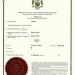 加国离婚文件海牙认证申请承认外国离婚判令