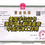 美国学位证海牙认证英汉翻译盖章中国天津用