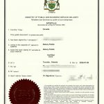 海外继承人放弃陕西房产继承权海牙认证案例