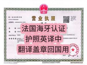 法国海牙认证护照封面英译中翻译盖章