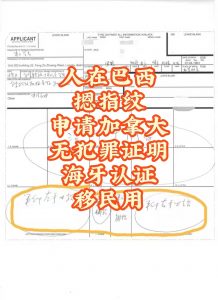 人在巴西摁指纹办加拿大无犯罪证明海牙认证