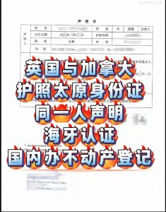 英国与加拿大护照太原身份证同一人证明海牙