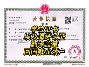 埃及海牙认证学位证书翻译盖章代办服务