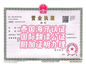 泰国海牙认证国际翻译公证附加证明书办理
