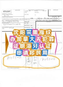沈阳采集指纹申请加拿大无犯罪证明海牙认证