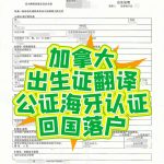 加拿大出生证明公证海牙认证回国落户入学