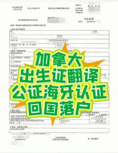 加拿大出生证明公证海牙认证回国落户入学